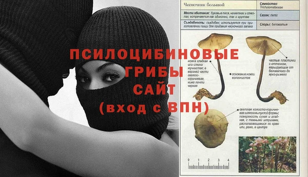 дурь Армянск