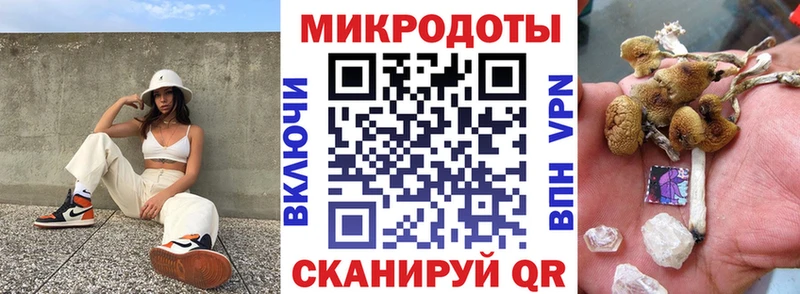 Купить  Старая Русса  Галлюциногенные грибы MAGIC MUSHROOMS 