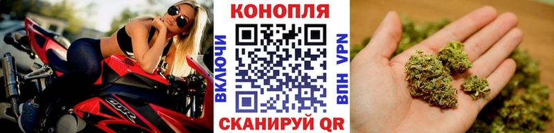 Бошки марихуана марихуана  Купить закладки  Старая Русса 